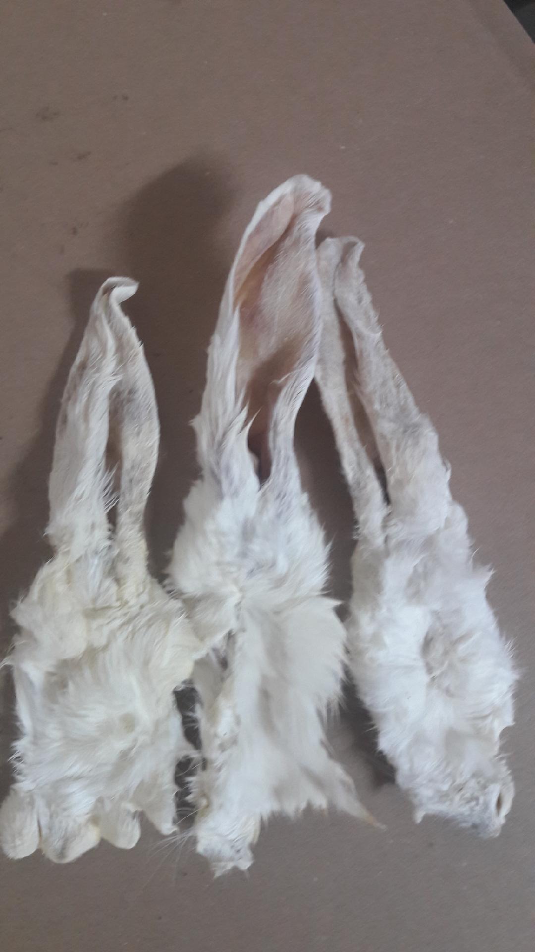 Dried rabbit ear,  chicken feet, duck feet and more NATURAL DOG CHEW