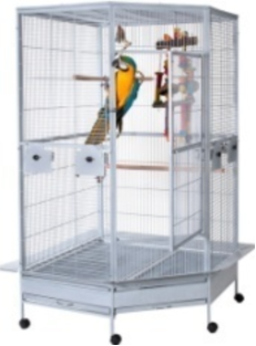 new parrot cage 