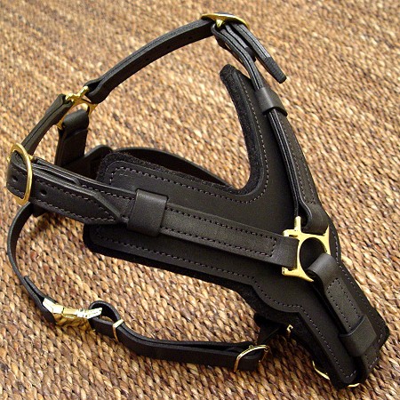 Handmade leather dog harness