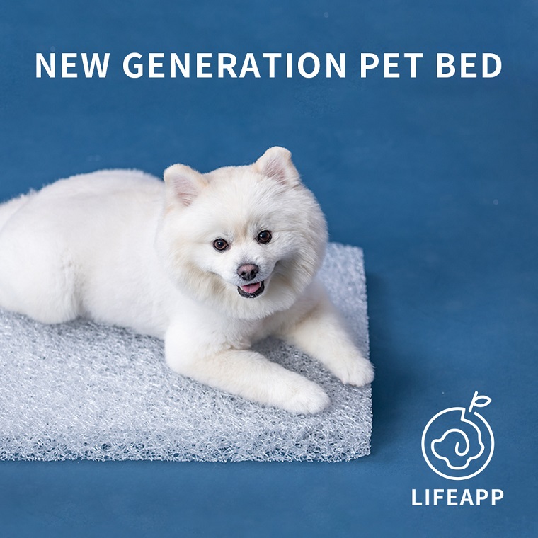 LIFEAPP Washable Dog Bed