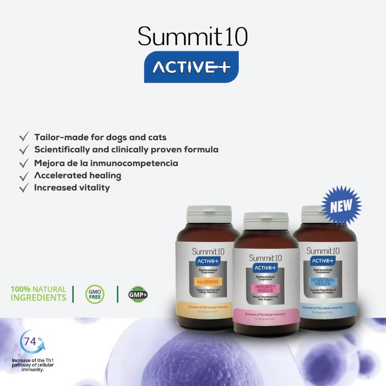 Summit 10 Active+