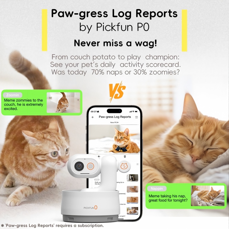 PICKFUN AI PET BABYSITTER FOR FURRY BABIES