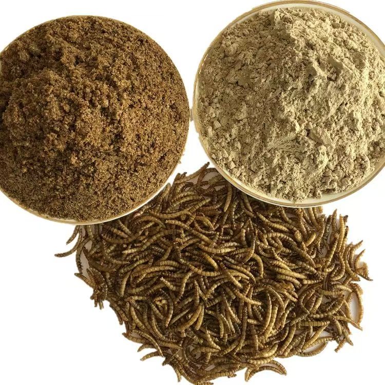 Processed Functional Insect Defatted Protein Mealworms Powder for High-end Pet food
