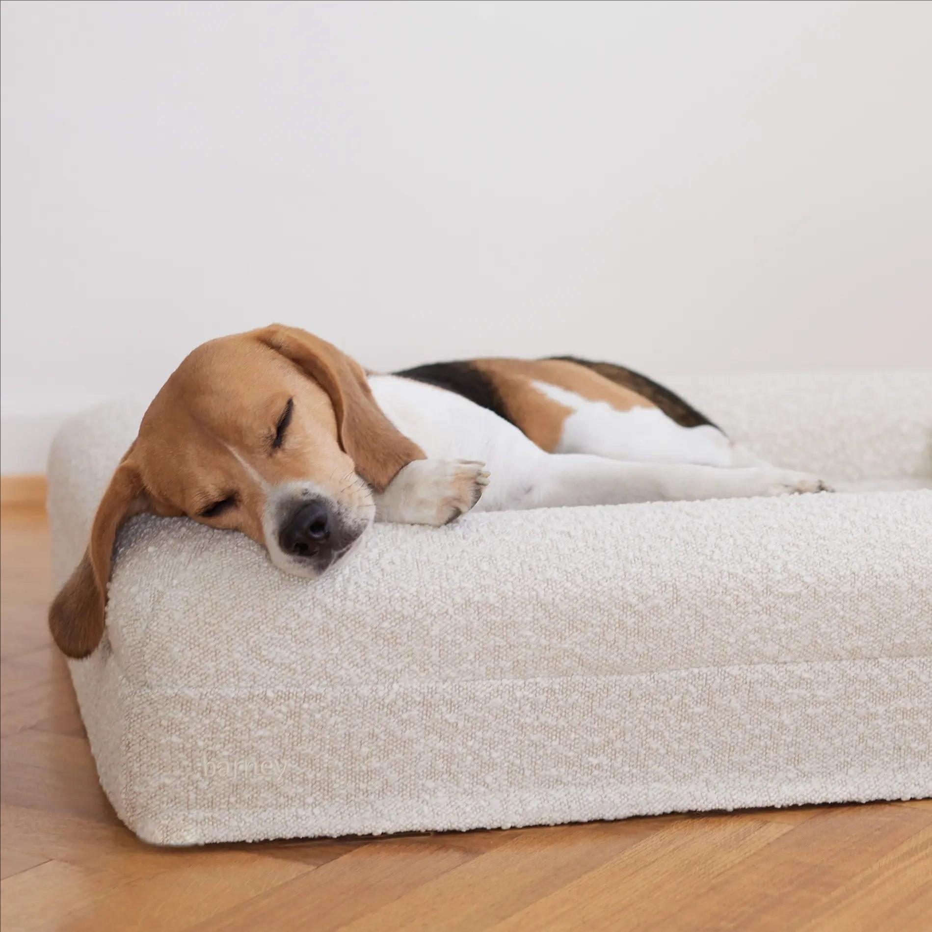 Rectangular Orthopedic Pet Sofa Bed with Removable Foam Cushion and Bolsters for Dogs and Cats