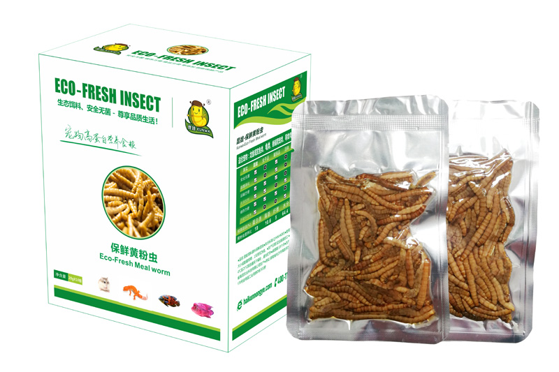 Eco Fresh Mealworms For Fish/Reptiles /Birds/Turtles/Hamsters/Lizards 
