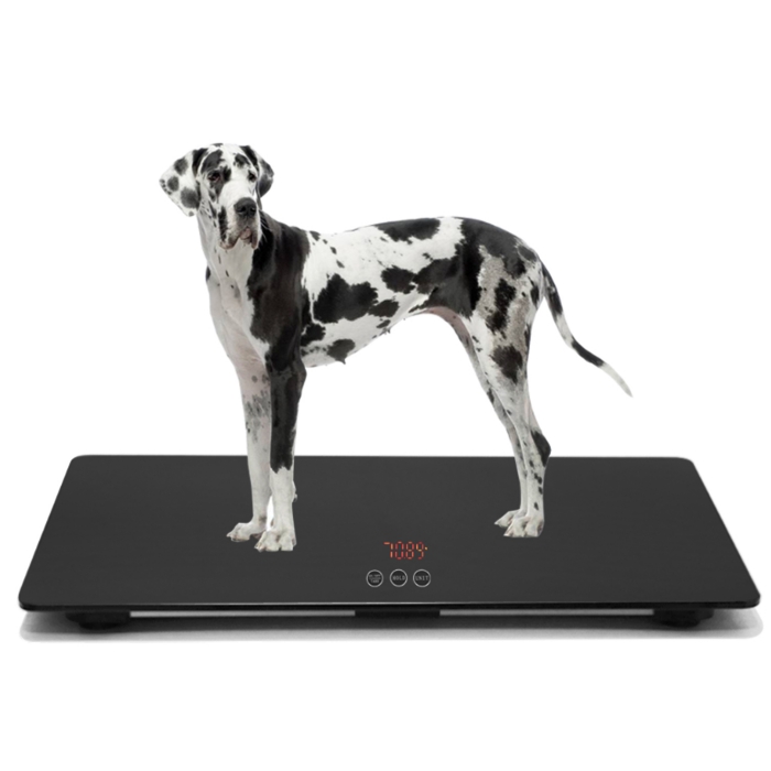  Multifunctional Pet Weight Scale for Large Dogs, Temp-Glass  Big Dog Scale Hold 220lbs Animals with A Mat, ±10 Grams Accuracy, for Home  and Vet Clinic Use : ICARE-PET : Pet