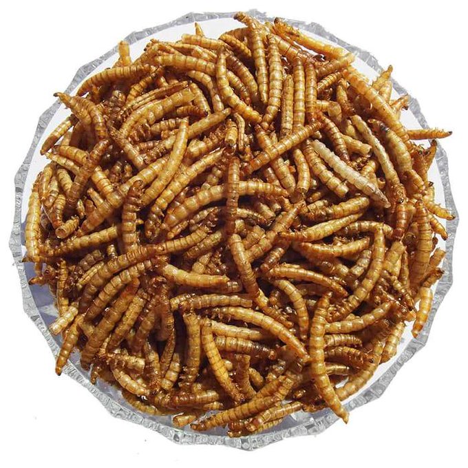 100% natural  Dried Mealworms for Birds, Chickens, Turtles, Fish, Hamsters and Hedgehogs,