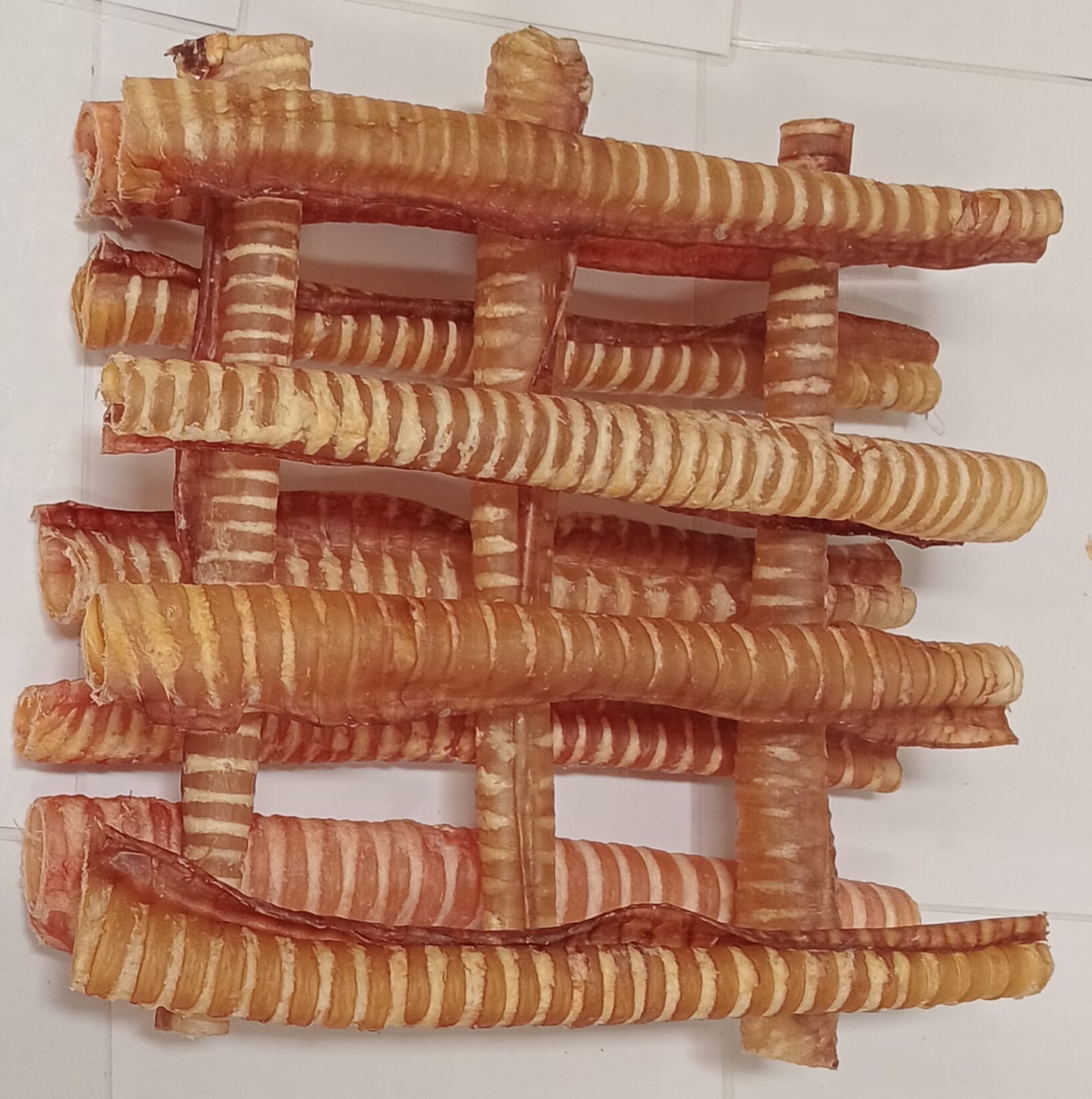 Trachea