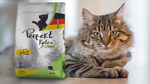 Dry & Wet Food for Cats | Lamb, Chicken, Salmon, also for Kitten and Sterilized cats