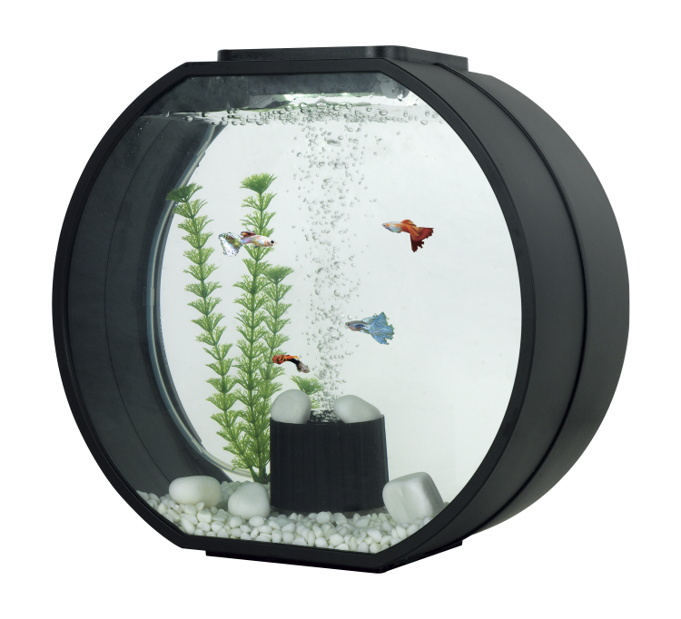 Aa Aquarium Deco O