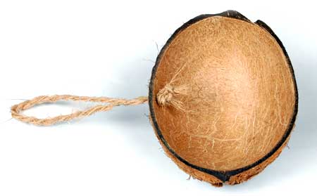 coconut shell bird feeder half Oval. Vcut. Three hole 