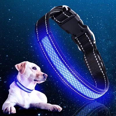 Light-Up LED Pet Collar (USB)